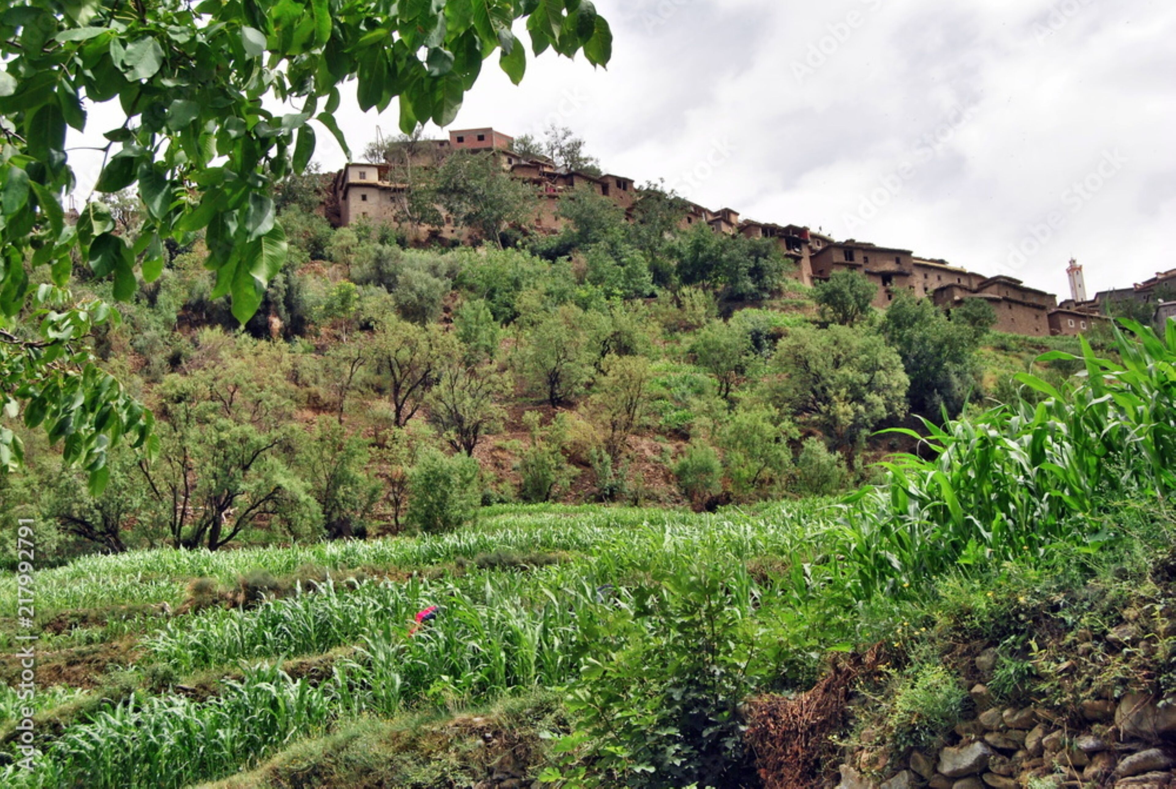 Una ladera con campos en terrazas y edificios tradicionales.
