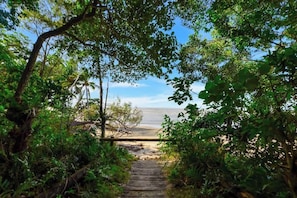 A wooden pathway leading to a beach through a forested area.