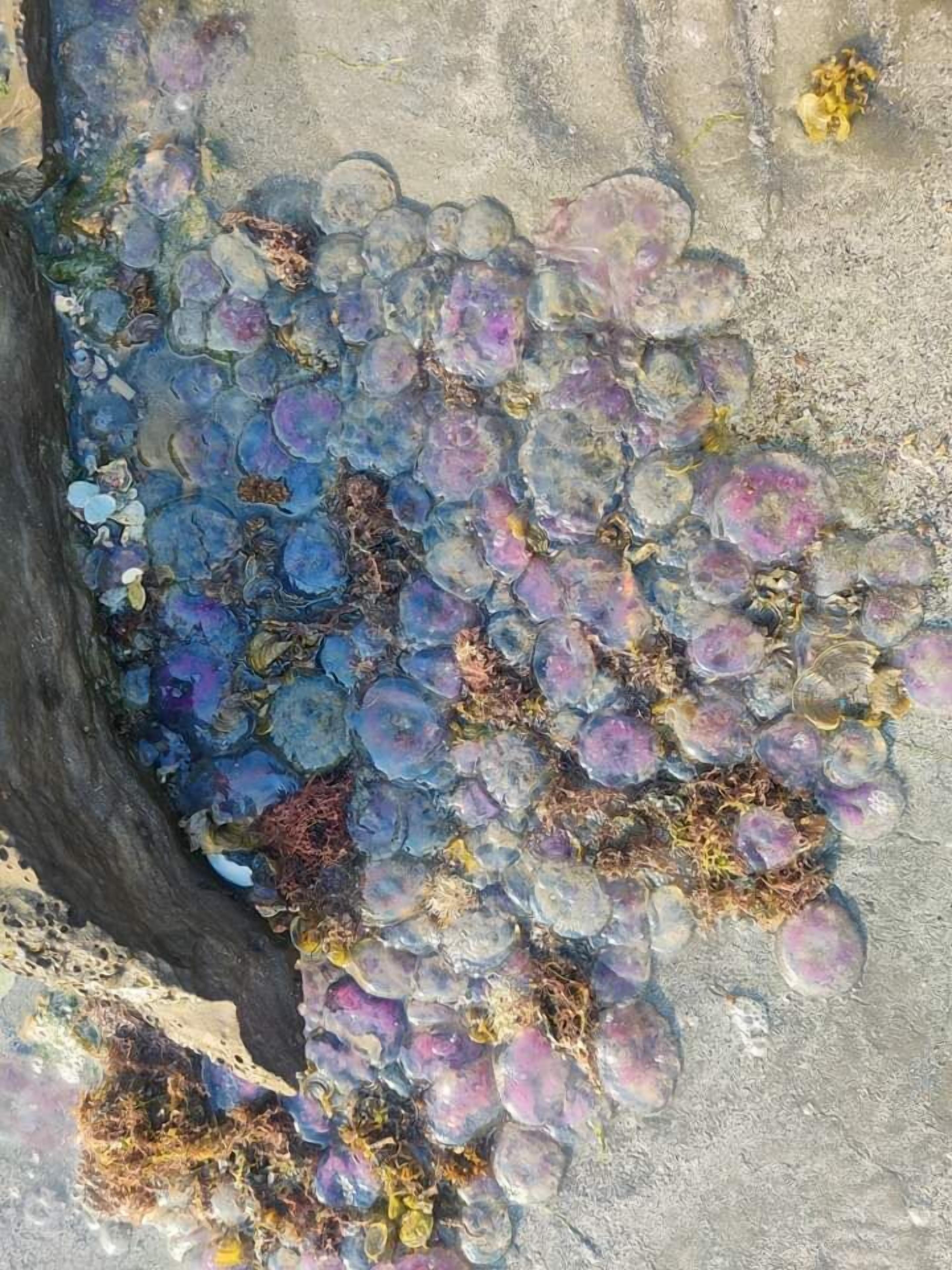 A close-up of a natural formation with variously colored translucent objects clustered together.