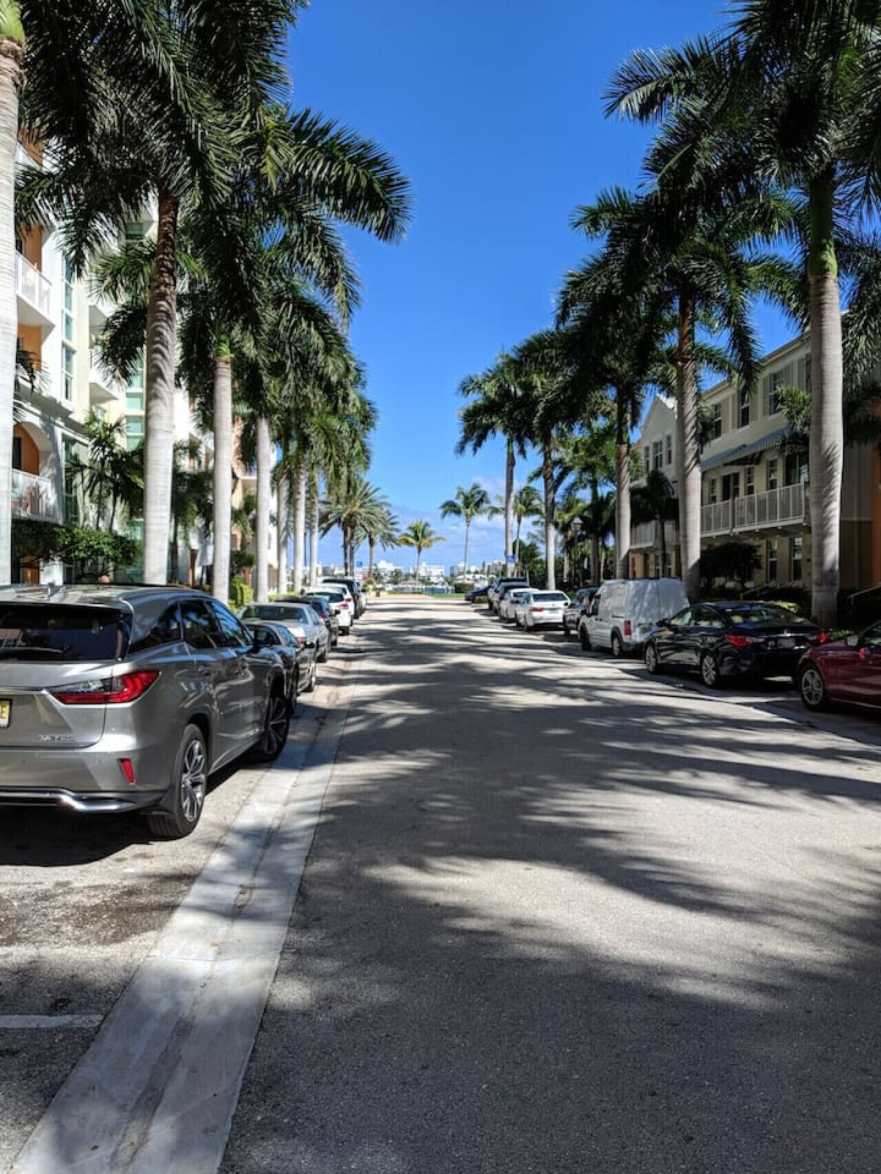 Une rue bordée de palmiers et de voitures garées, qui mène à un immeuble doté de balcons.