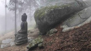 A stone Buddha statue in a forested area with a large moss-covered rock nearby. - 4 Acre A-Frame Private Retreat (Idyllwild)