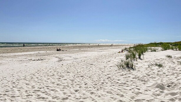 A sandy beach with dunes and sparse vegetation.