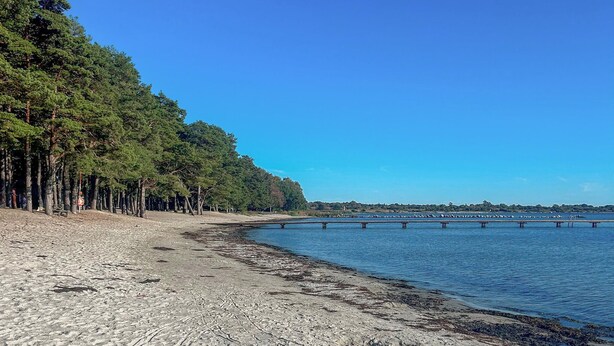 A beach with a row of trees, a sandy shore, and a bridge over water. - Stunning home in Sölvesborg with house sea view (Sölvesborg)