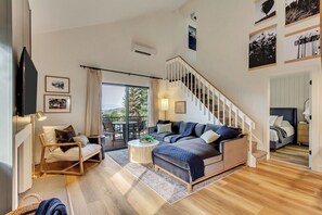 Smart TV, fireplace, books