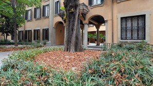 A building with a central tree, outdoor seating, and a covered walkway.
