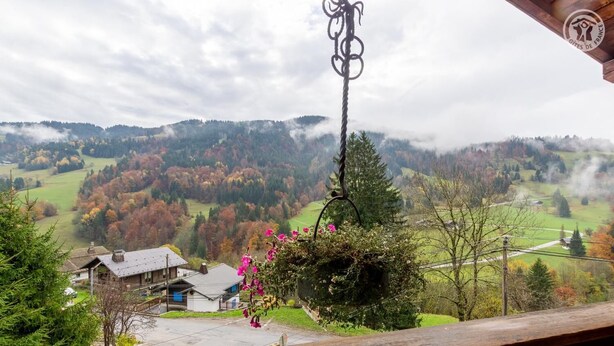 Ein malerischer Blick vom Balkon über ein Tal mit herbstlich gefärbten Bäumen, einem Haus und einem Holgitter.