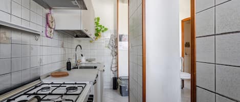 Fridge, oven, stovetop, dishwasher