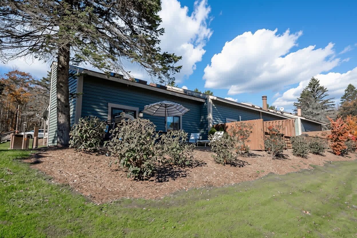 Hidden ONEder mountain retreat | Side exterior and wooded surroundings