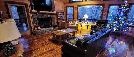Smart TV, fireplace, books