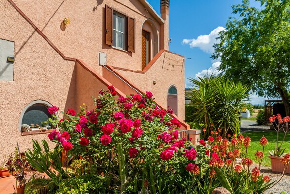 Overnattingsstedets uteområder