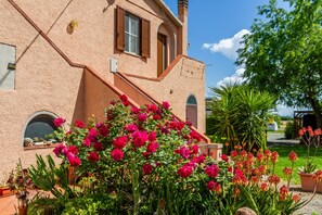 A building with a stucco exterior, a small balcony, and a garden with red flowers. - Apartment 'Principina tra mare e natura' with Shared Pool, Wi-Fi and Air Conditioning (Principina Terra)