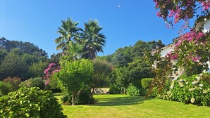 A well-maintained garden with palm trees, flowering bushes, and a lawn. - Casa Pinho – Private Jacuzzi, Mountain View & Fireplace (São Pedro do Sul)