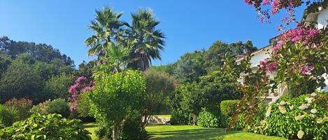 Áreas de la propiedad