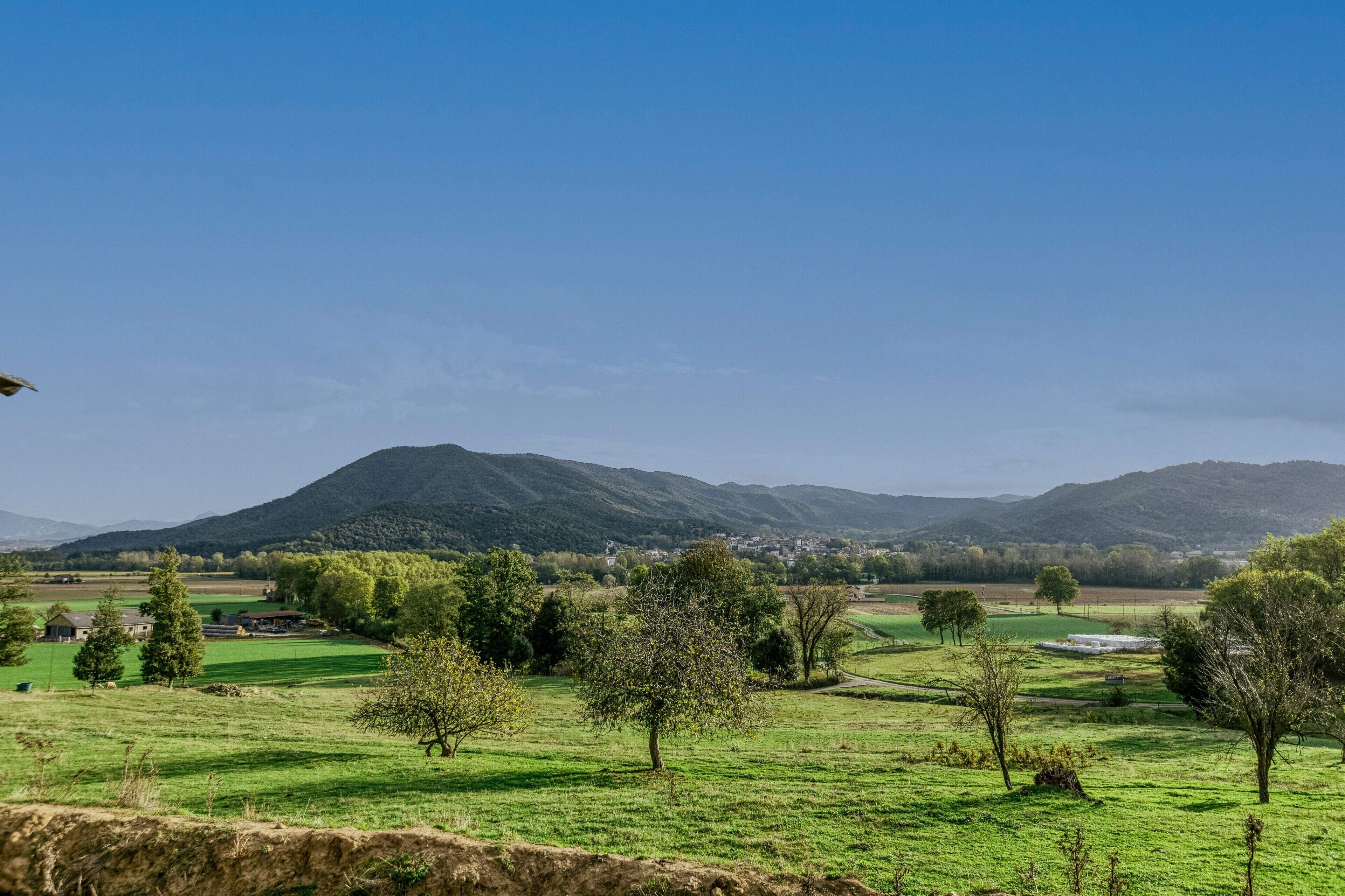 Paisaje rural con una montaña al fondo, campos verdes y árboles dispersos.