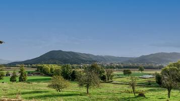 Paisaje rural con una montaña al fondo, campos verdes y árboles dispersos.