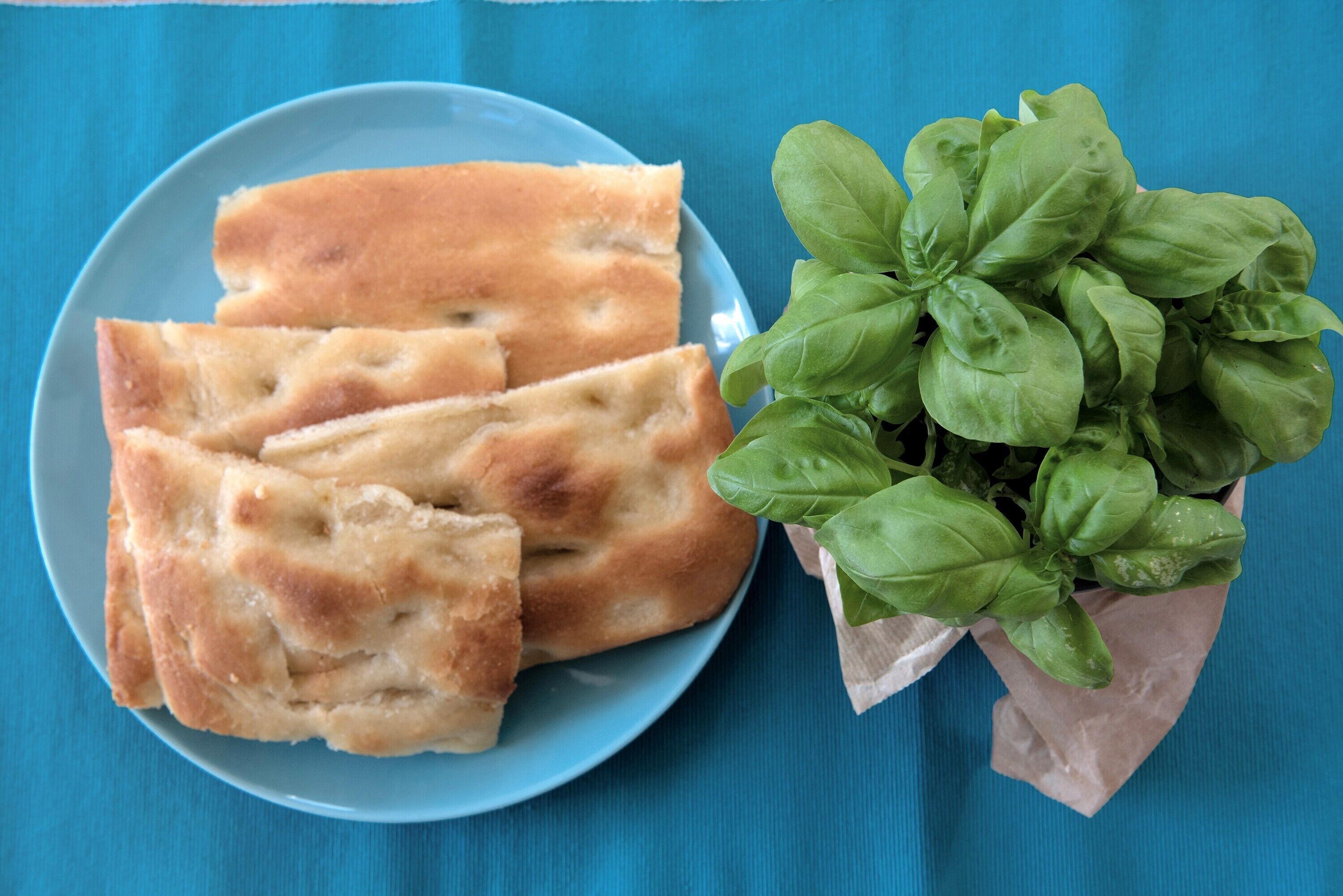 A plate of flatbread and a potted basil plant on a blue surface.