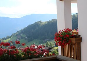 Un balcón con vistas a un paisaje montañoso, baranda de madera y flores rojas.