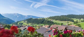 Room 'Klausthaler Zimmer 22' with Mountain View, Shared Terrace and Wi-Fi