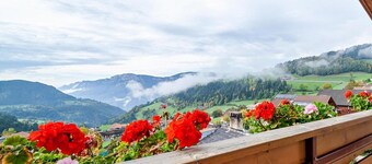 Chambre 'Klausthaler Zimmer 23' avec vue sur la montagne, terrasse partagée et Wi-Fi