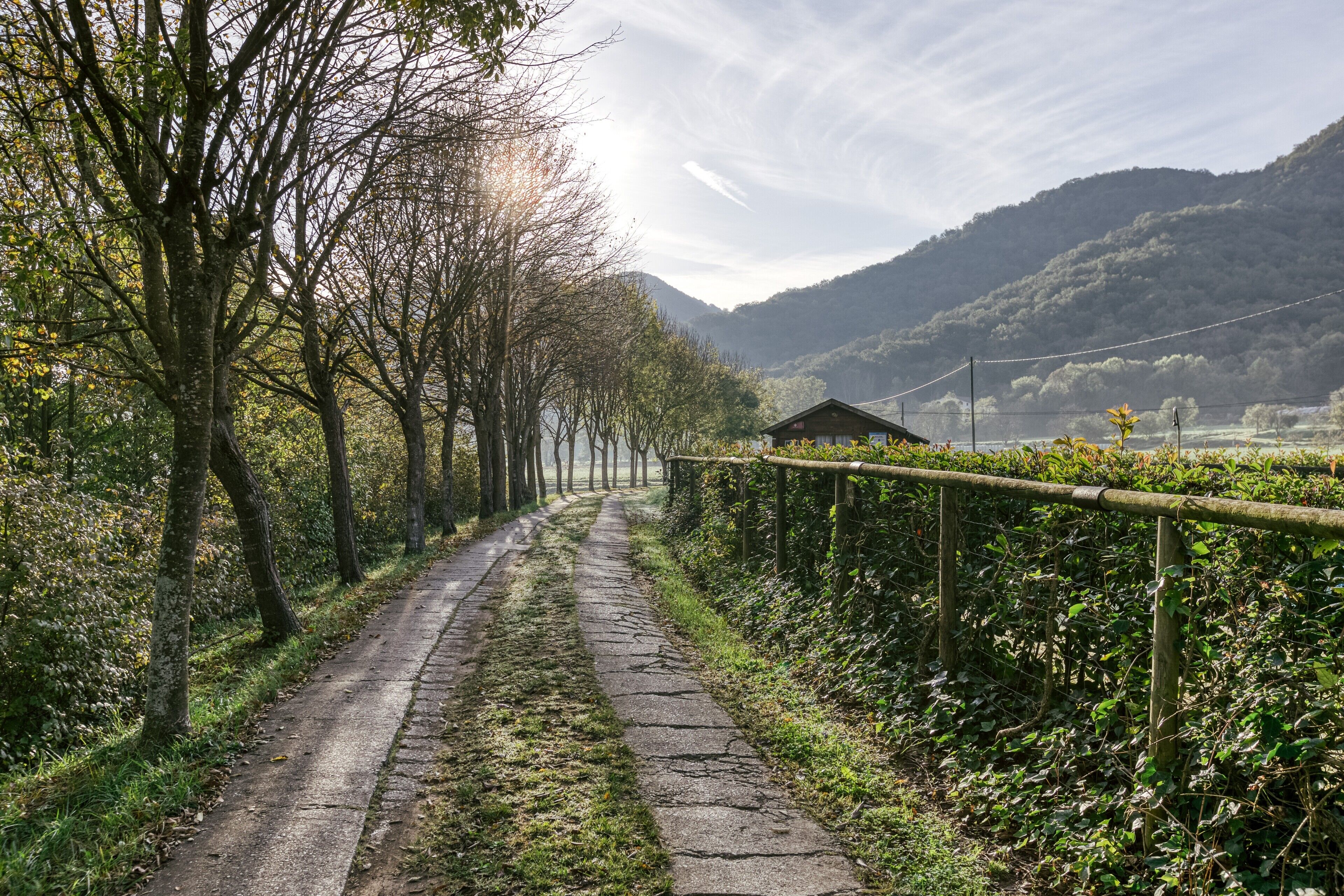 A rural road flanked by trees and a fence, leading to a small building.