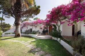 Ein weißes Gebäude mit gewölbtem Dach, umgeben von einem gepflegten Garten mit einer Palme und Bougainvillea.