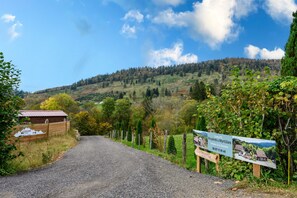 Property grounds - Chalet "Myrtilles" with Mountain View, Private Terrace and Wi-Fi (Saint-Maurice-sur-Moselle)
