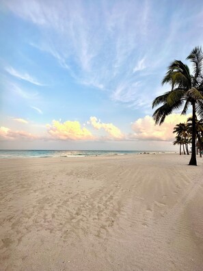 A beach with a palm tree and footprints in the sand. - Newly renovated apartment with ocean views, steps from the beach and Boardwalk! (Hollywood)