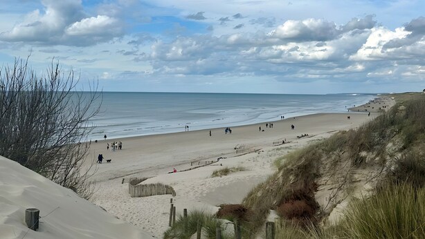 A beach with sand dunes, a wooden fence, and a clear sky.