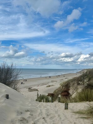 A beach with sand dunes, a wooden fence, and a clear sky.