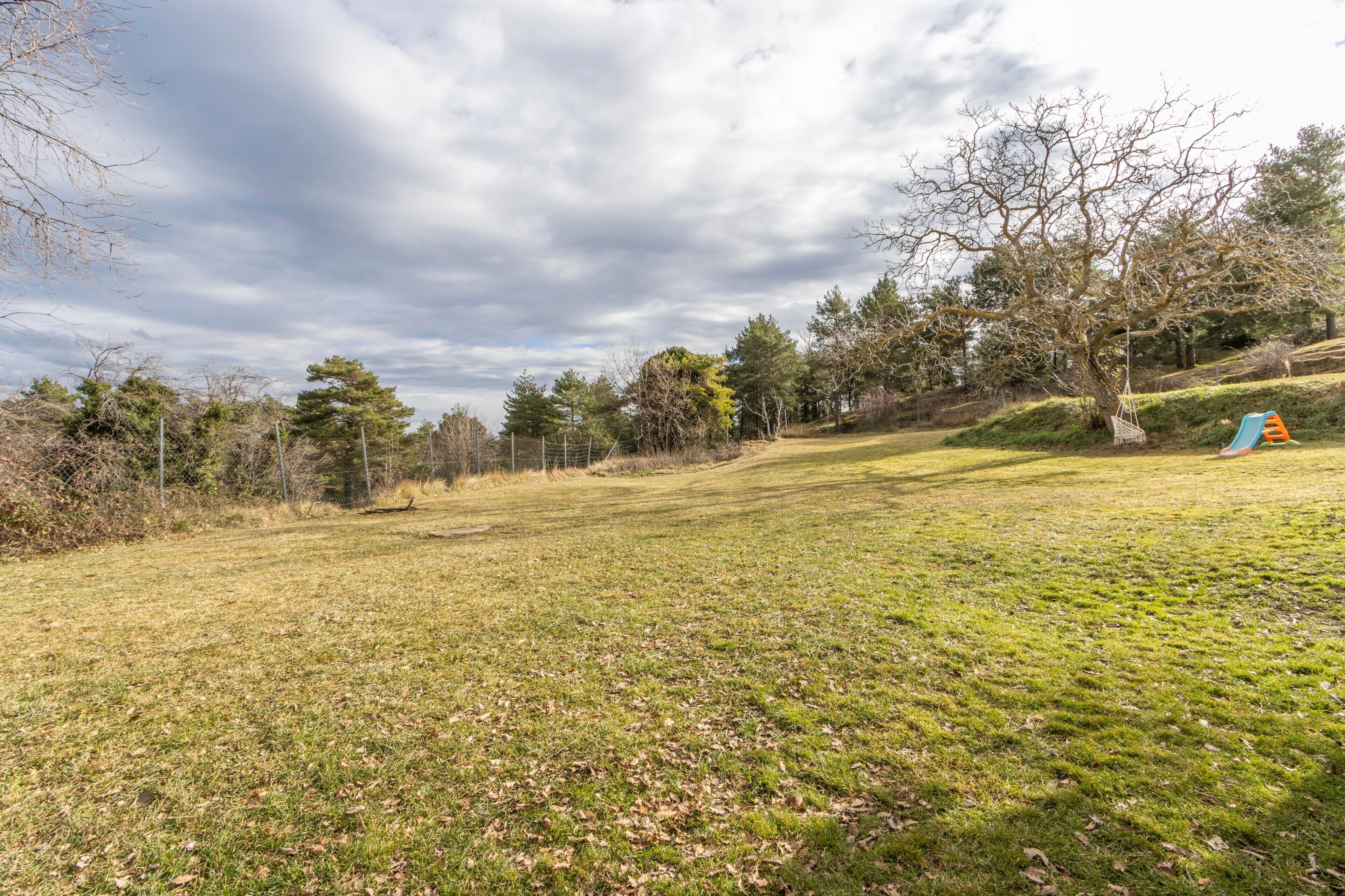 A grassy park area with trees, a swing set, and a slide.