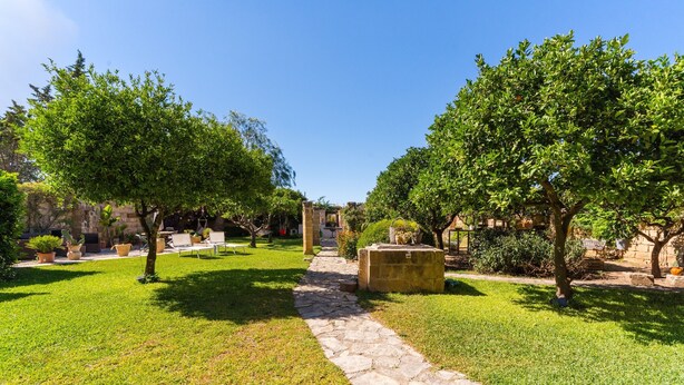 Un sendero de piedra que atraviesa un jardín cuidado, con árboles y plantas en macetas.