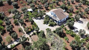 Vista aérea de una propiedad con una casa rodeada de olivos, un camino pavimentado y un campo al fondo.