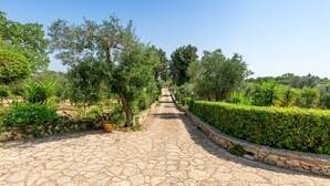 Un camino pavimentado bordeado de vegetación y muros de piedra, que se extiende hasta un punto distante.