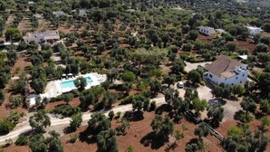 An aerial view of a residential area with houses, a swimming pool, and olive trees. - Studio Apartment 'Room in Villa Gianfreda' with Shared Pool, Wi-Fi and Air Conditioning (Ceglie Messapica)