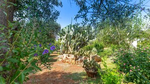 A garden with cacti, flowering plants, and a dirt path. - Studio Apartment 'Room in Villa Gianfreda' with Shared Pool, Wi-Fi and Air Conditioning (Ceglie Messapica)