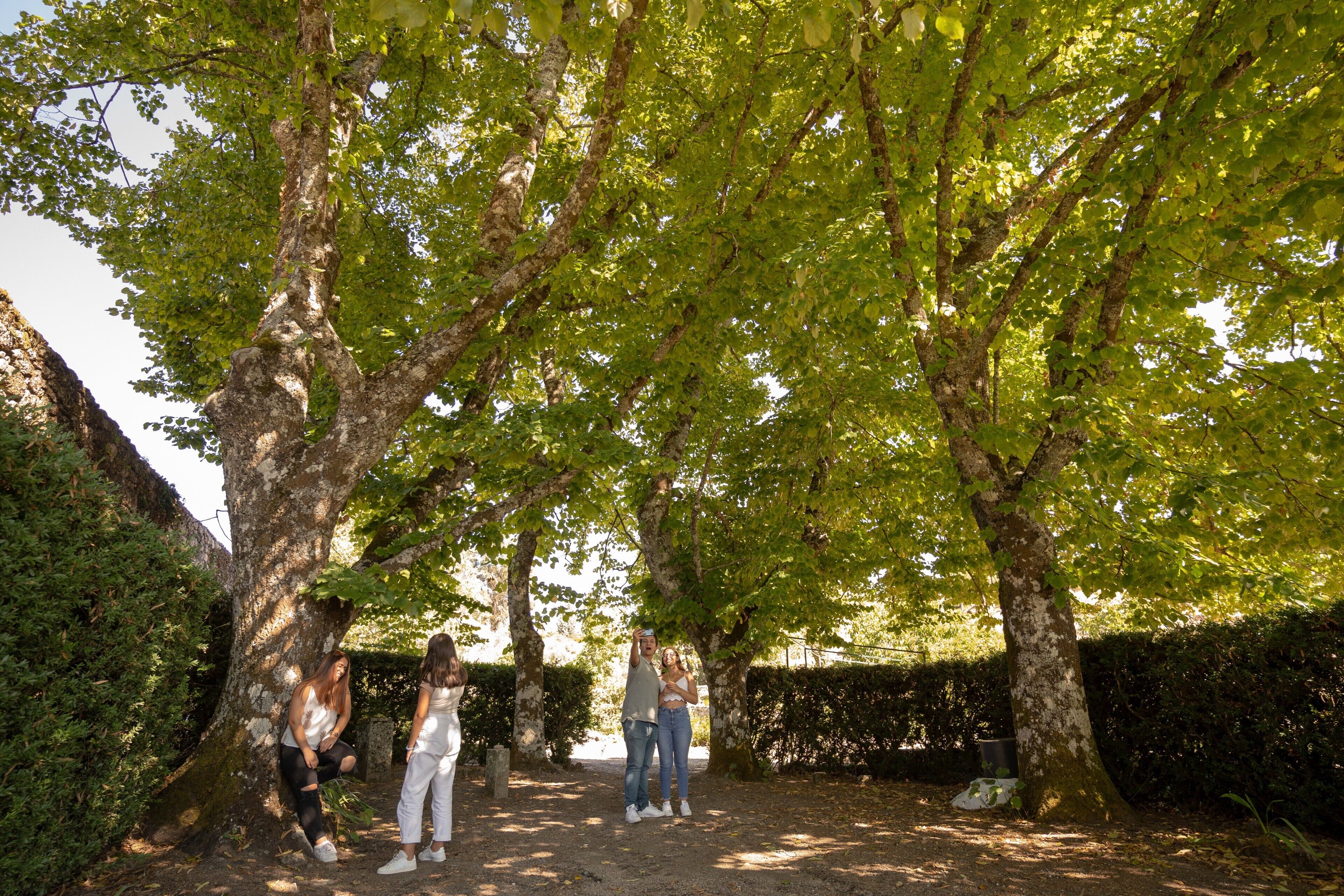 Un grupo de personas de pie bajo un árbol en un jardín.