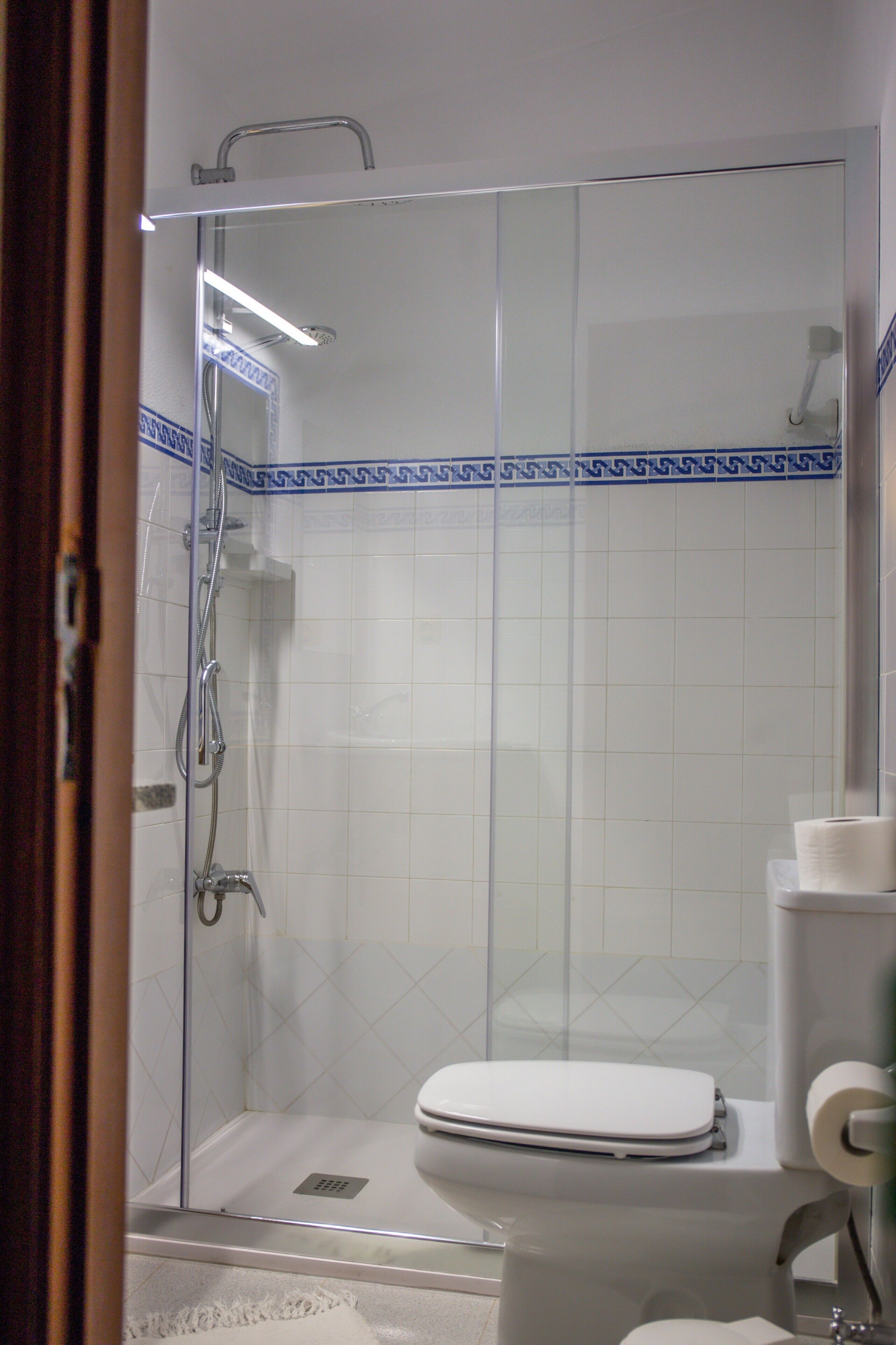 A bathroom with a glass-enclosed shower, a white toilet, and a roll of toilet paper.