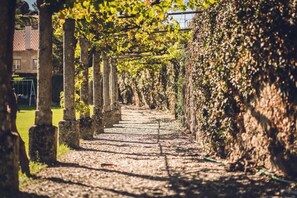 A pathway lined with stone columns and covered by climbing vines, leading towards a building.