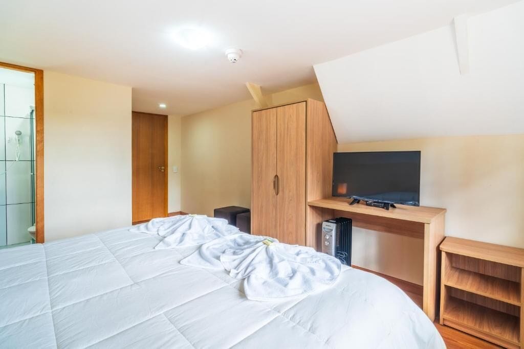 Un dormitorio con una cama, un televisor sobre un mueble de madera y un armario.