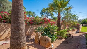 A garden with a palm tree, large rocks, and flowering plants.