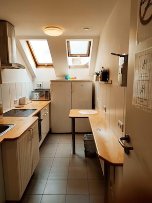 Großer Kühlschrank, Mikrowelle, Herdplatte, Geschirrspüler