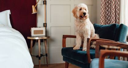 Sunny 1 bedroom in Esperanza close to everything