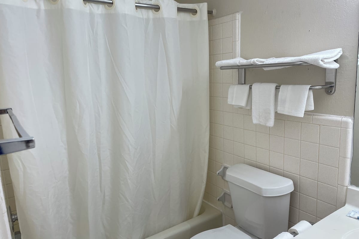 Basic Single Room | Bathroom | Hair dryer, soap, shampoo, toilet paper