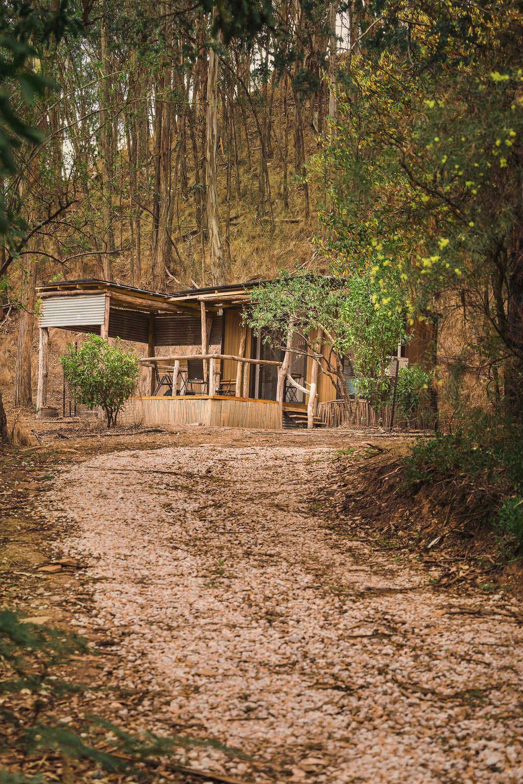 A rustic cabin with a wooden exterior, a porch, and a dirt path leading to it.