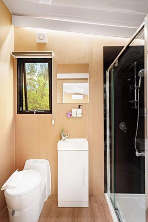 Shower, hair dryer, towels