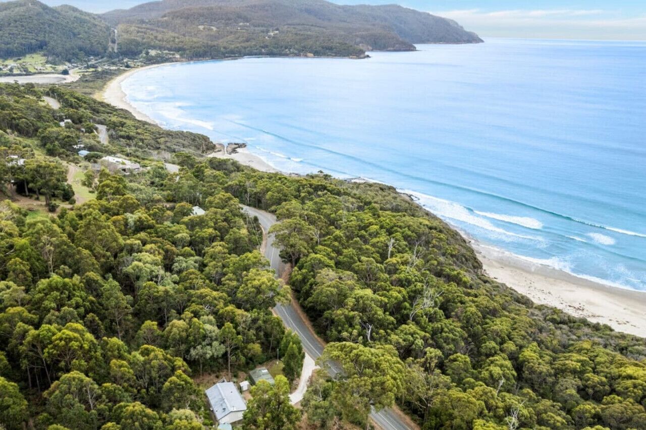 Vue aérienne d’une zone côtière avec une forêt verdoyante et dense, une route sinueuse et une plage.