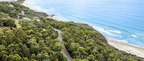 Vue aérienne d’une zone côtière avec une forêt verdoyante et dense, une route sinueuse et une plage.