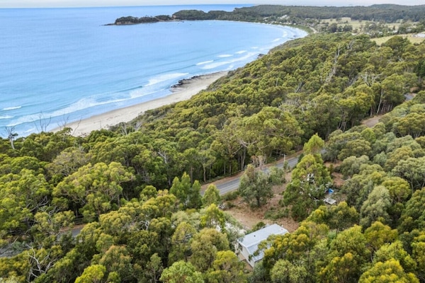 Nestled high among the treetops is High view house