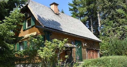 Holiday Home 'Hubertushütte' with Mountain View, Private Terrace, Sauna & Garden