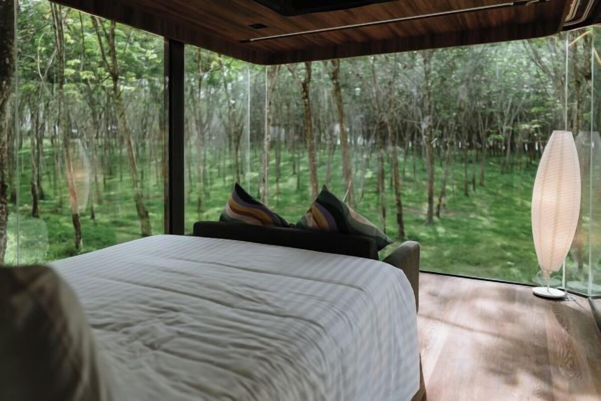 Roupas de cama antialérgicas, Wi-Fi de cortesia